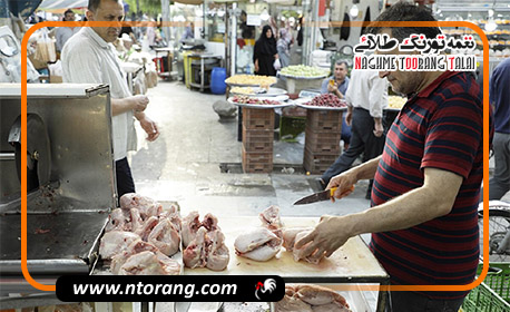 وزیر جهاد کشاورزی: گرما و قطعی برق عامل افزایش قیمت مرغ